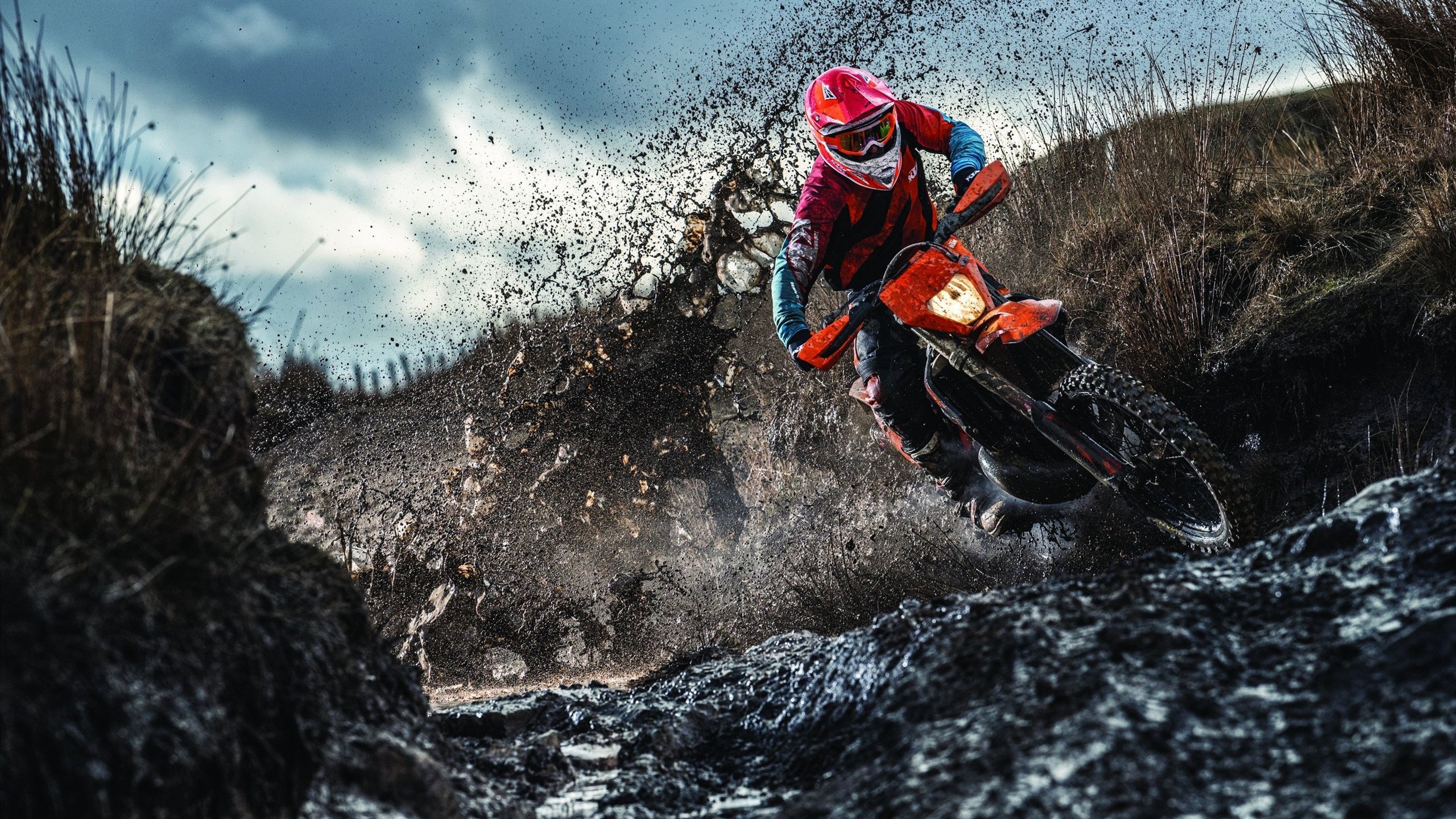 霍勒迪彻底打爆防线,76人绝杀老鹰,费城新王登基之夜